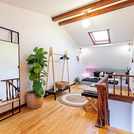 Entire Private Building Walk To Galata 6 Guests